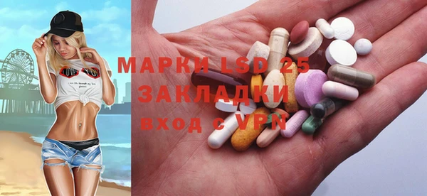 шишки Ессентукская