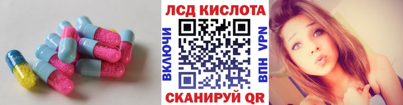 дарнет шоп  Светогорск  ЛСД экстази ecstasy 