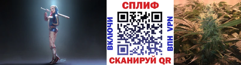 Марихуана план  Светогорск 